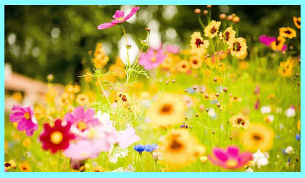 http://www.smskade.ir/wp-content/uploads/2016/01/jomalate-manaadar-b94.jpg