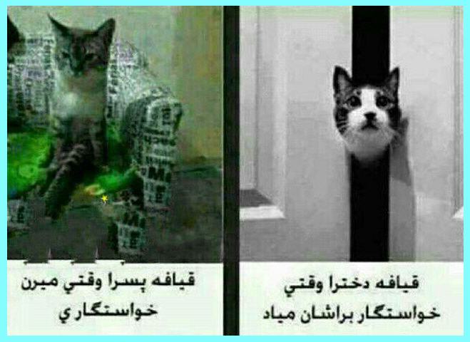 http://www.smskade.ir/wp-content/uploads/2016/02/ax-hay-didani-2.jpg