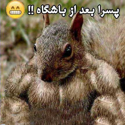 http://www.smskade.ir/wp-content/uploads/2016/02/ax-neveshte-hay-fun-e94-1.jpg