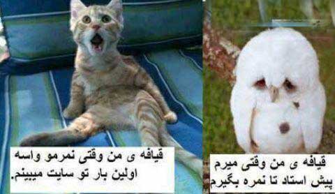 http://www.smskade.ir/wp-content/uploads/2016/02/ax-neveshte-hay-fun-e94-4.jpg