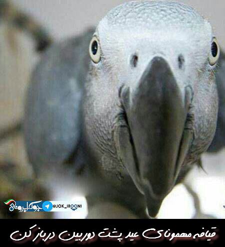 http://www.smskade.ir/wp-content/uploads/2016/03/funy-pic-2016-e94-7.jpg