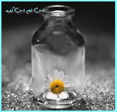 http://www.smskade.ir/wp-content/uploads/2016/03/matn-del-shaekaste-f95.jpg