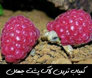 http://www.smskade.ir/wp-content/uploads/2016/04/ax-hay-bahal-jadid-1.jpg