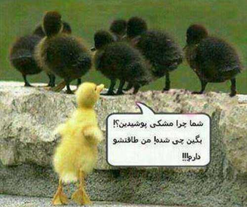 http://www.smskade.ir/wp-content/uploads/2016/04/ax-hay-bahal-jadid-2.jpg
