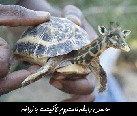 http://www.smskade.ir/wp-content/uploads/2016/04/ax-hay-bahal-jadid-7.jpg