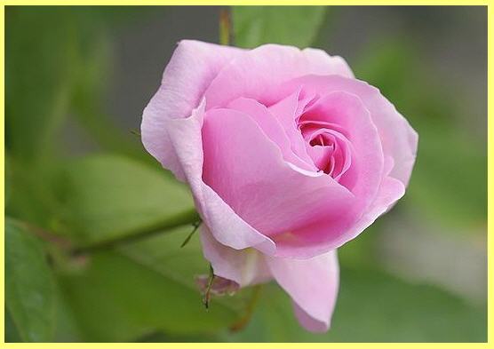http://www.smskade.ir/wp-content/uploads/2016/04/best-women-text-f95.jpg